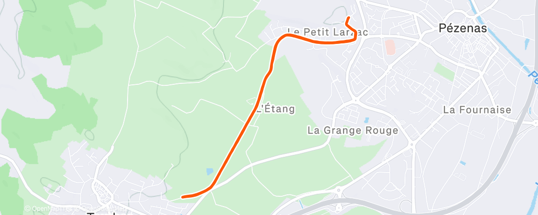 Карта физической активности (Morning Run)