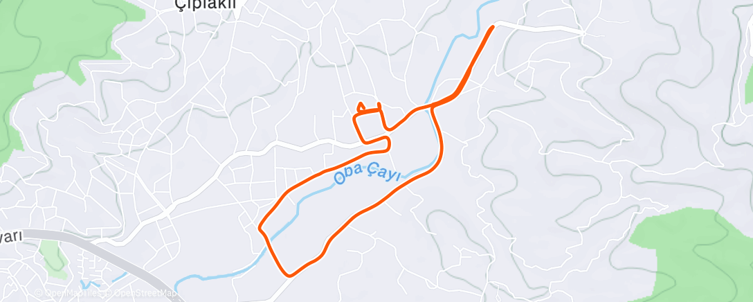 Map of the activity, Дневной забег