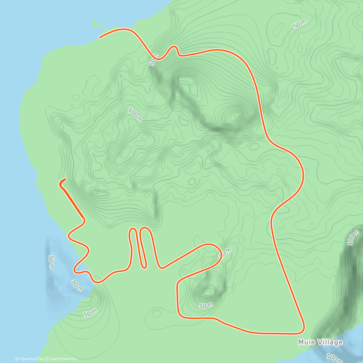 Map of the activity, Zwift - Flat Route in Watopia