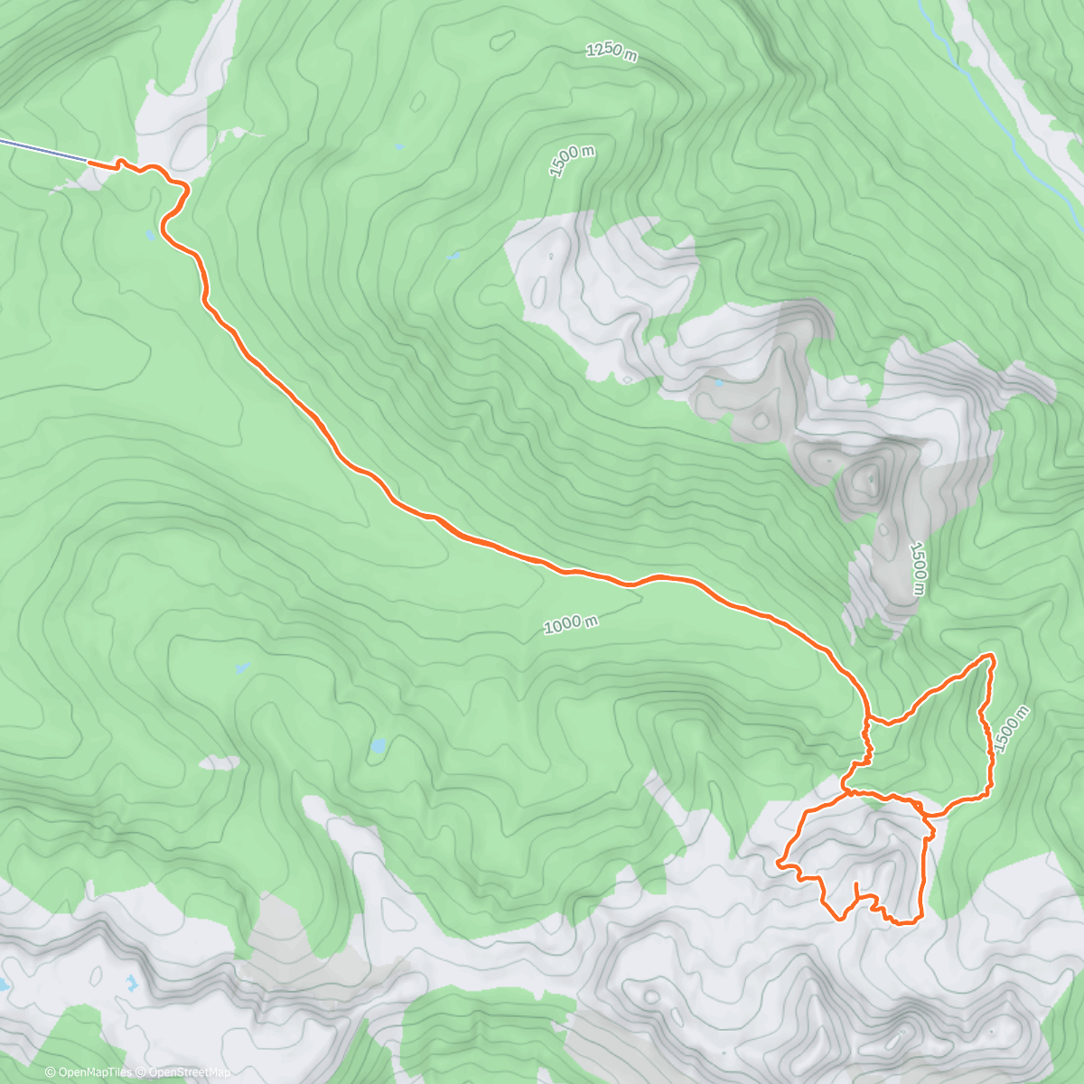 Map of the activity, Gondi day