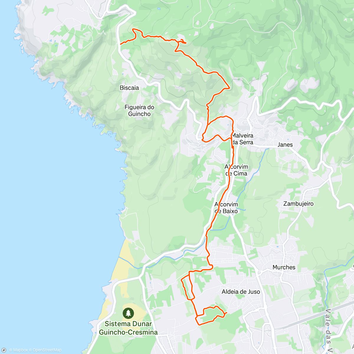 Map of the activity, Morning Trail Run