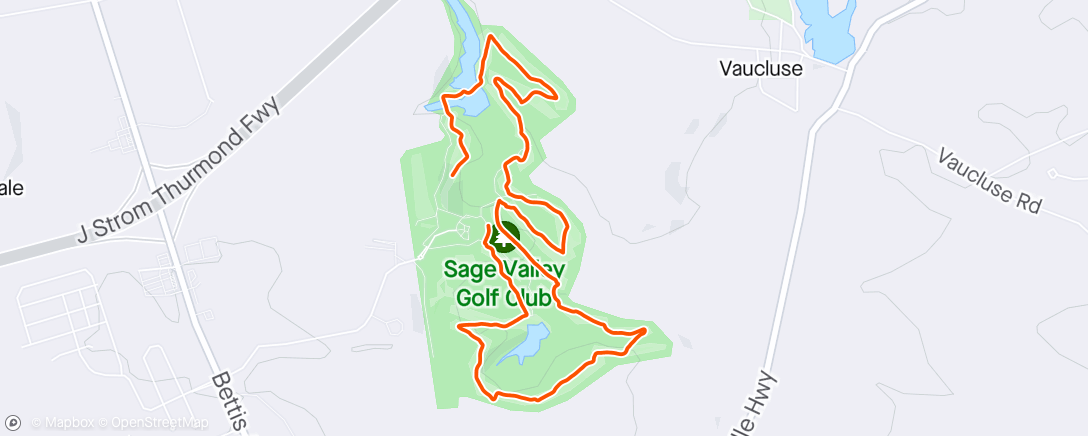Map of the activity, Golfing Sage Valley. Shot an 89 which is the best round I’ve had here. Turned 58 today so maybe that had something to do with it. My game isn’t anywhere to being that good.