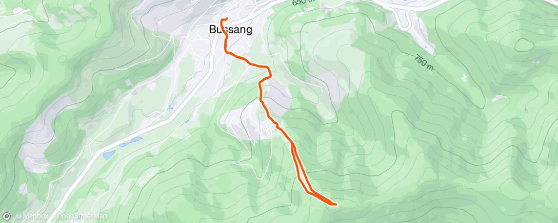 Map of the activity, Morning Trail Run