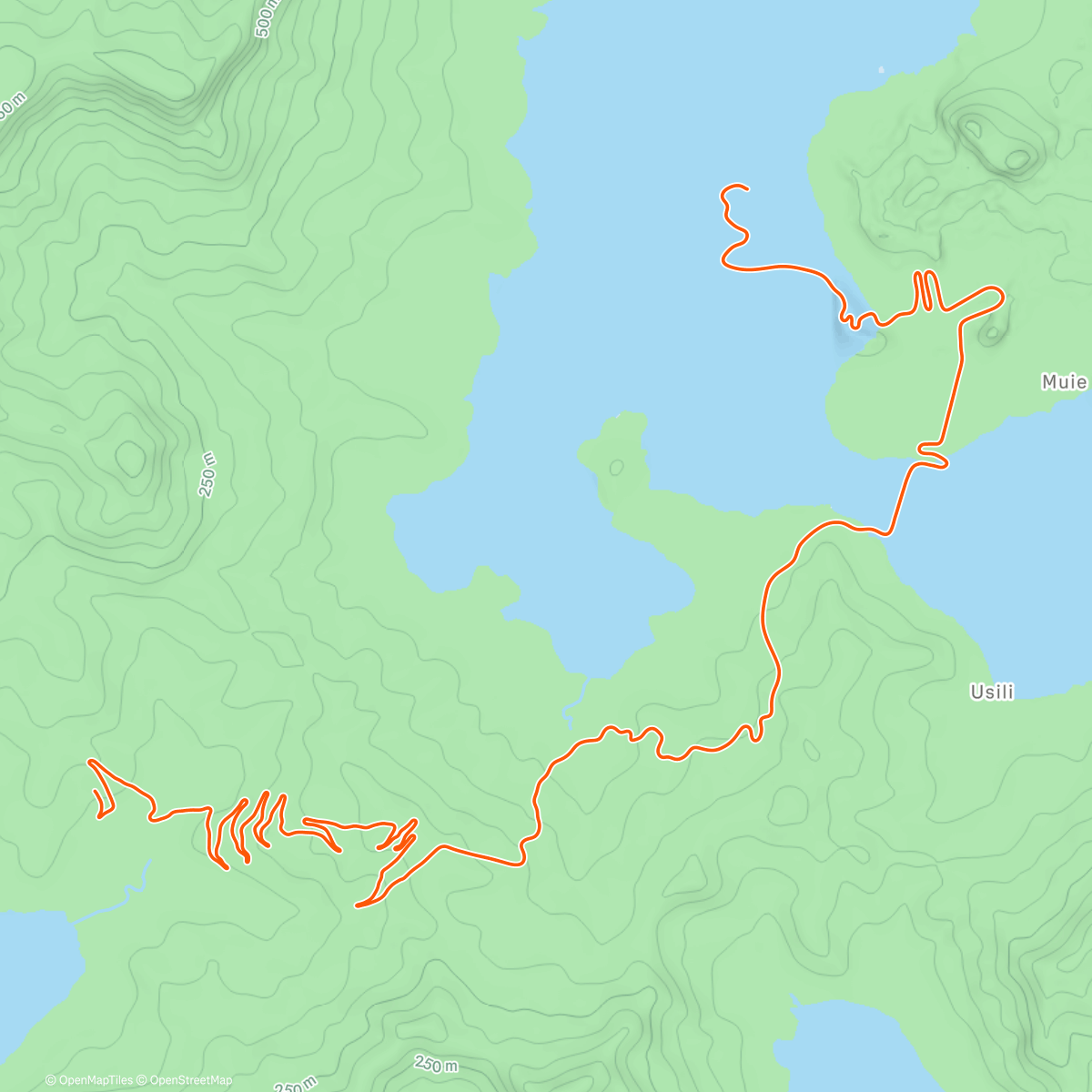 Map of the activity, Zwift - Endurance