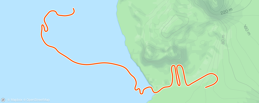 Карта физической активности (Zwift - Pacer Group Ride: Volcano Flat in Watopia with Maria)
