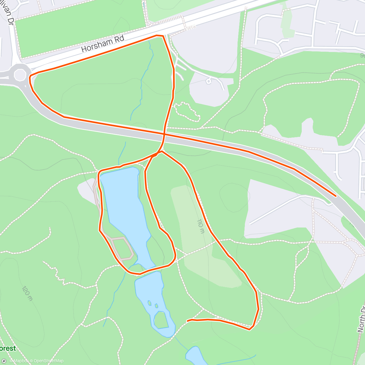 Map of the activity, Afternoon Walk with yoshi
