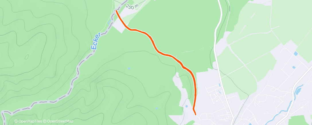 Map of the activity, Afternoon Run