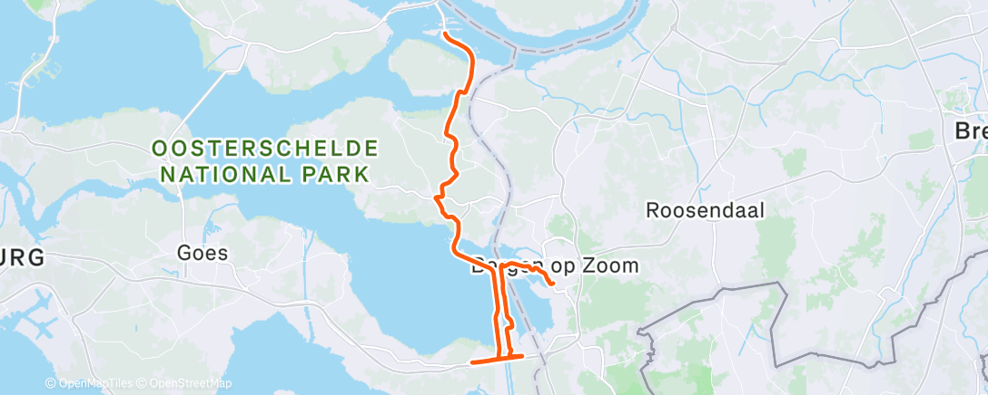 Карта физической активности (Ziltig)