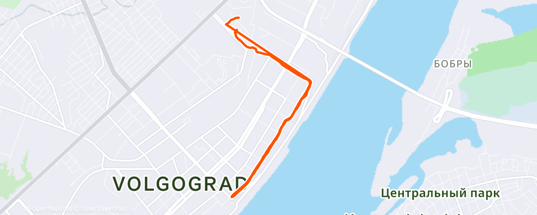 Карта физической активности (Morning Run)