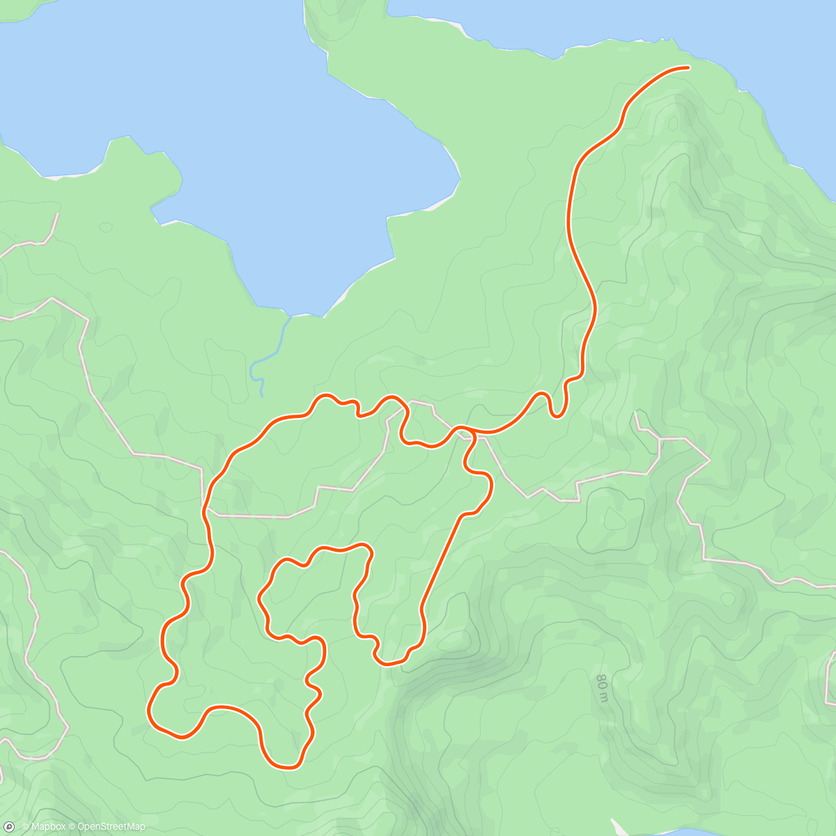 Map of the activity, Zwift - 2004 in Watopia