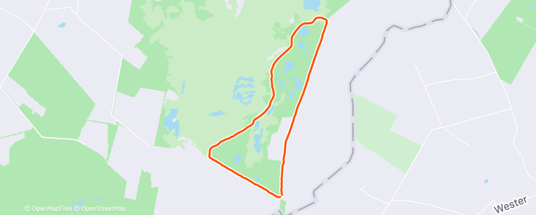 Карта физической активности (Mittagspaziergang)