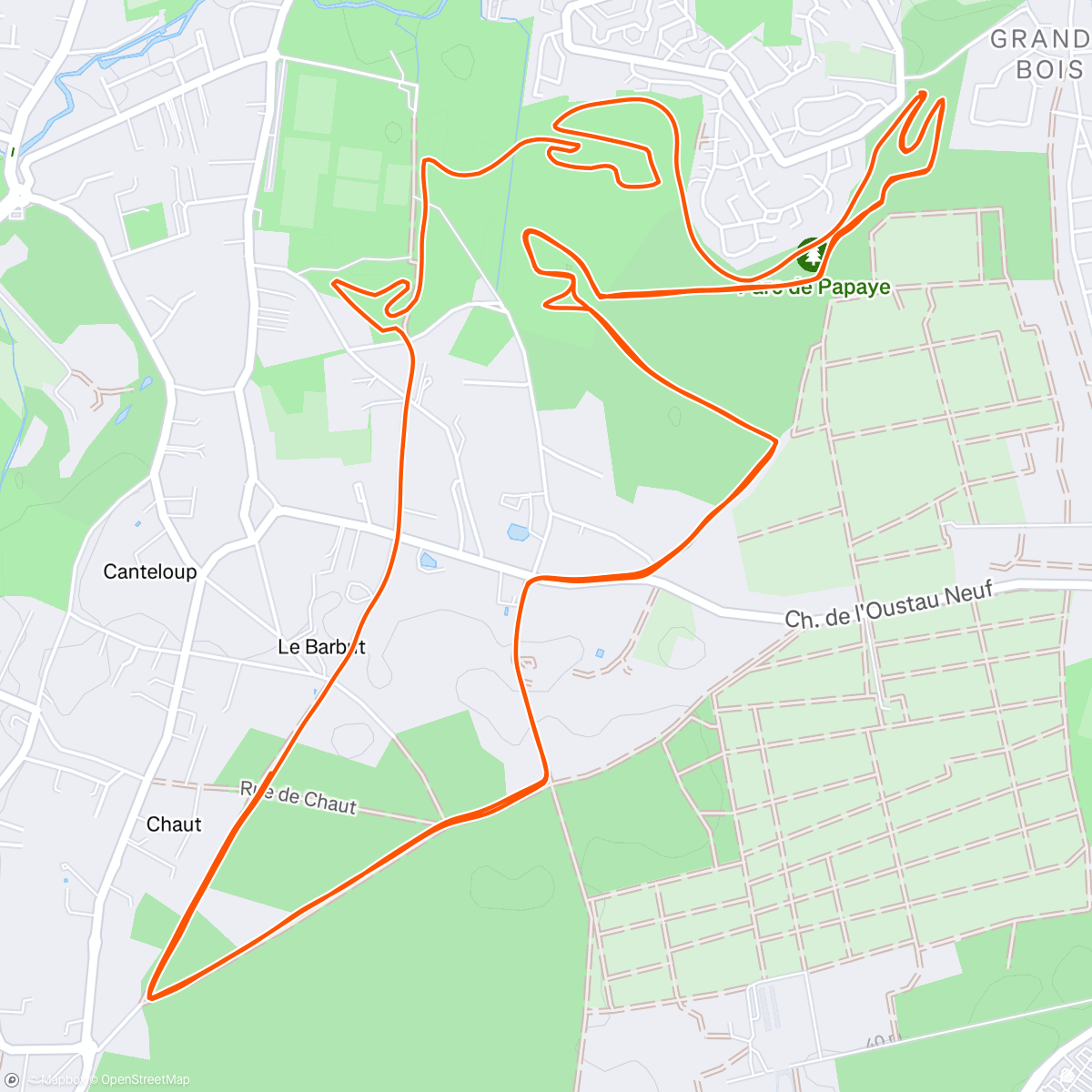 Mapa de la actividad (🧘🏻‍♂️)