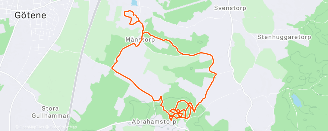 Карта физической активности (Lunch Run)