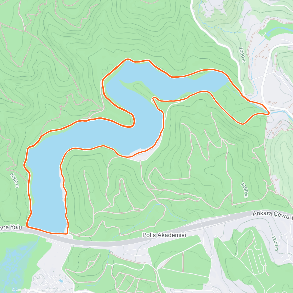 Map of the activity, Morning Run