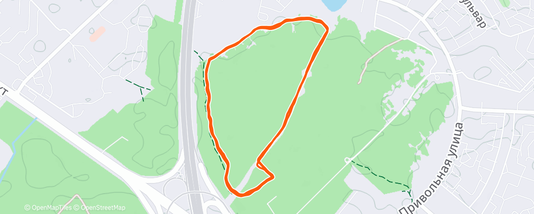 Карта физической активности (Утренний забег)