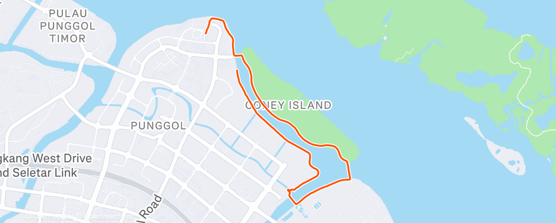 Карта физической активности (Evening Run)