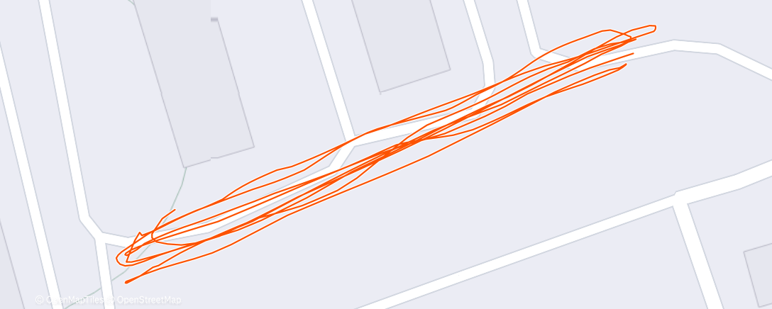 Карта физической активности (5х100/100)