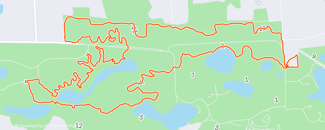 Map of the activity, Morning Trail Run
