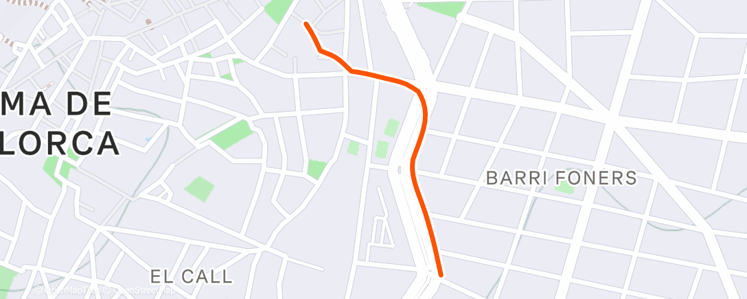 Карта физической активности (Evening Walk)