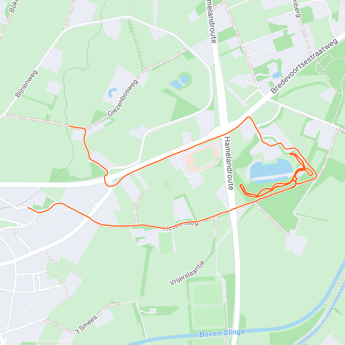 Map of the activity, Afternoon Run