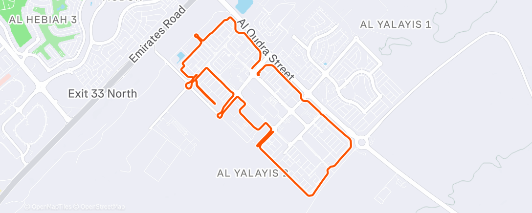 Map of the activity, Morning Run