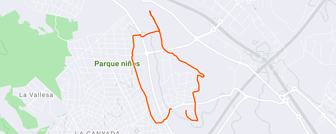 Карта физической активности (Carrera de tarde)