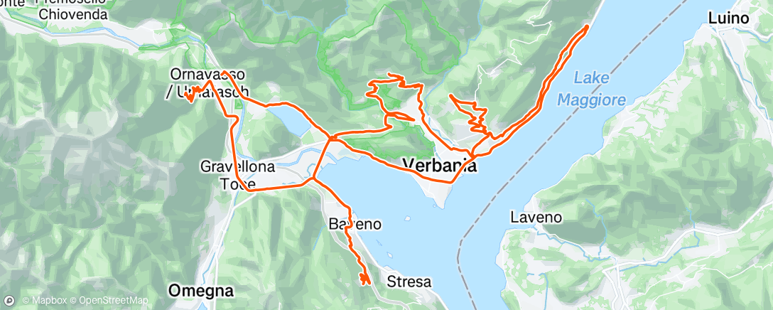 Карта физической активности (Up and down)