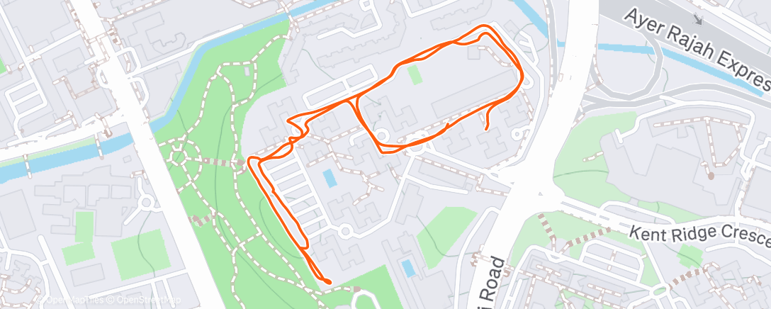 Карта физической активности (Afternoon Walk)