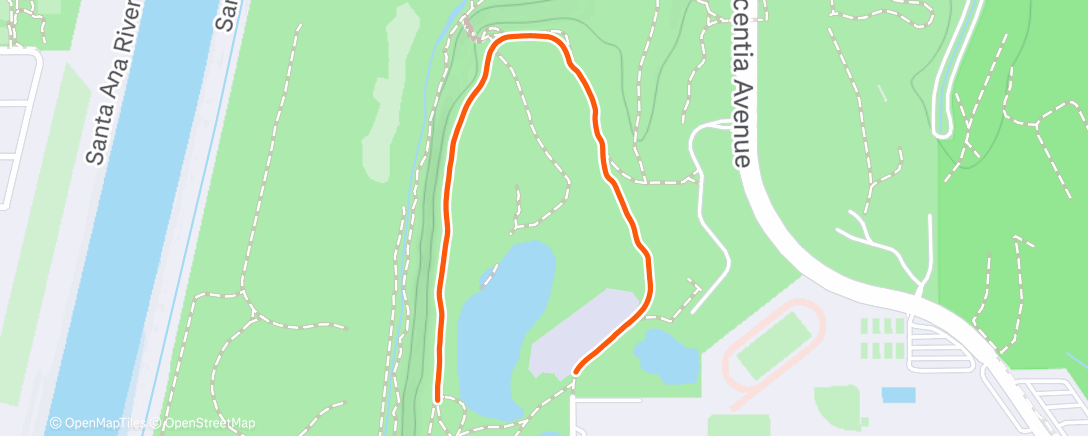 Карта физической активности (Morning Walk)