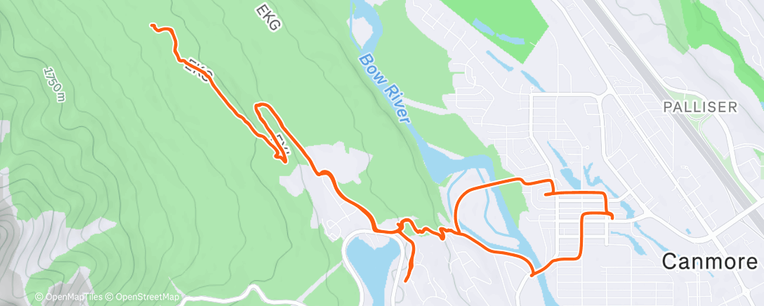 Карта физической активности (Fatty)