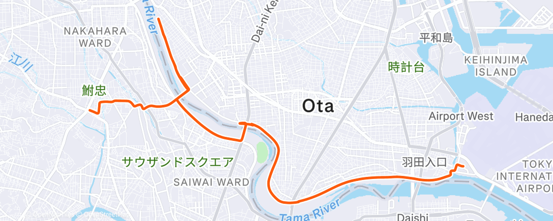 Карта физической активности (ランチタイム ライド)