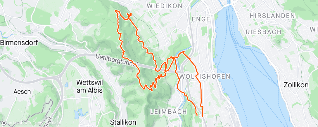 Map of the activity, Afternoon Mountain Bike Ride. Uetliberg