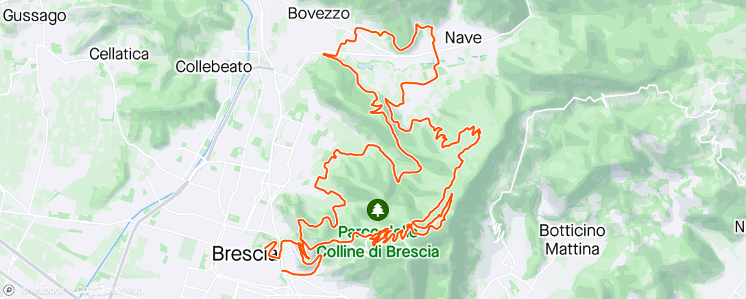 Map of the activity, GF di BRESCIA