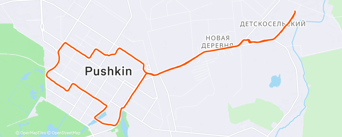 Map of the activity, Утренний забег