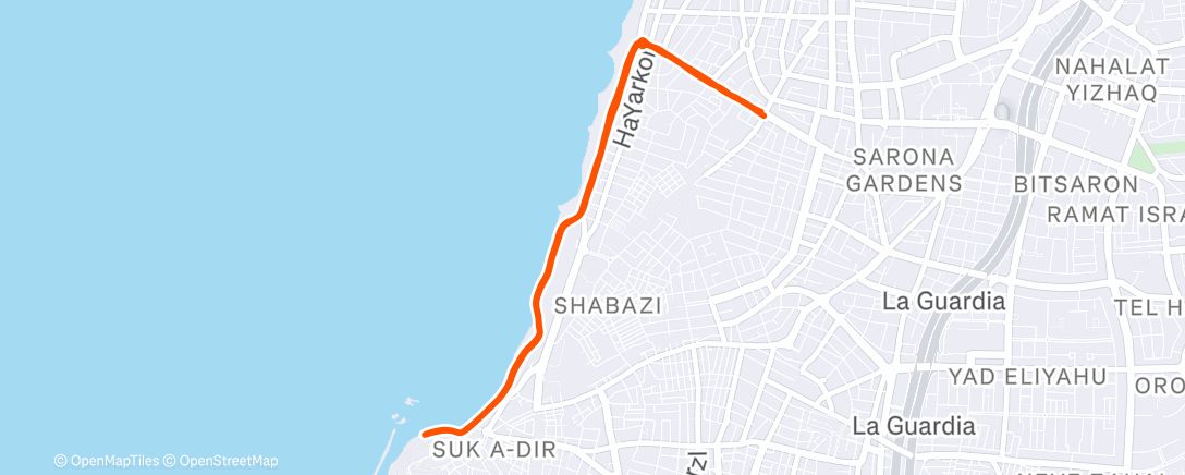 Map of the activity, Morning Run