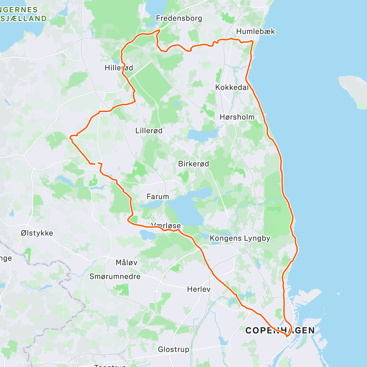 Карта физической активности (Another day another slay 🎄)