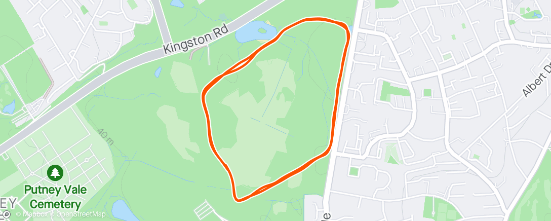 Map of the activity, Wimbledon Parkrun with Lauren and Alice 🏃‍♀️🌳 ☀️