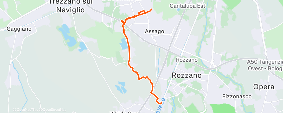 Map of the activity, Morning Run