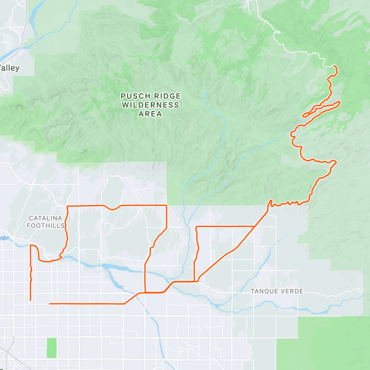Map of the activity, 🍋