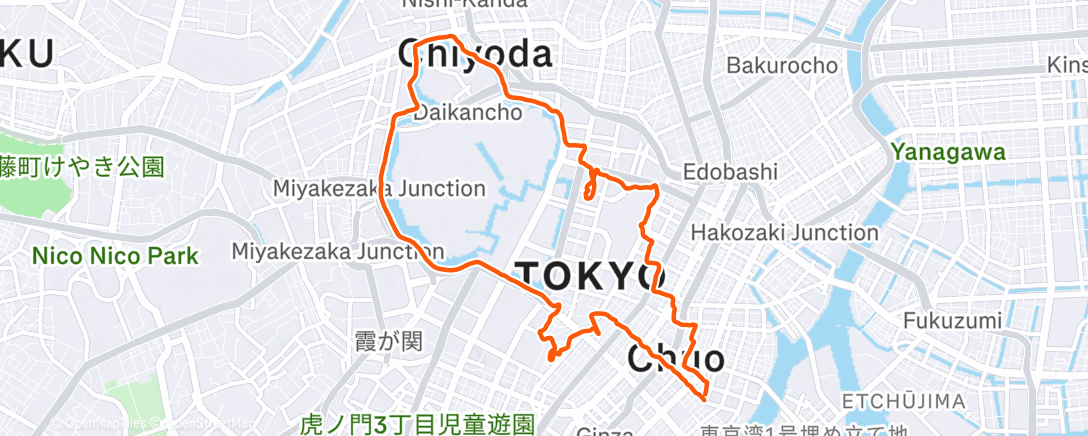 Map of the activity, Afternoon Run