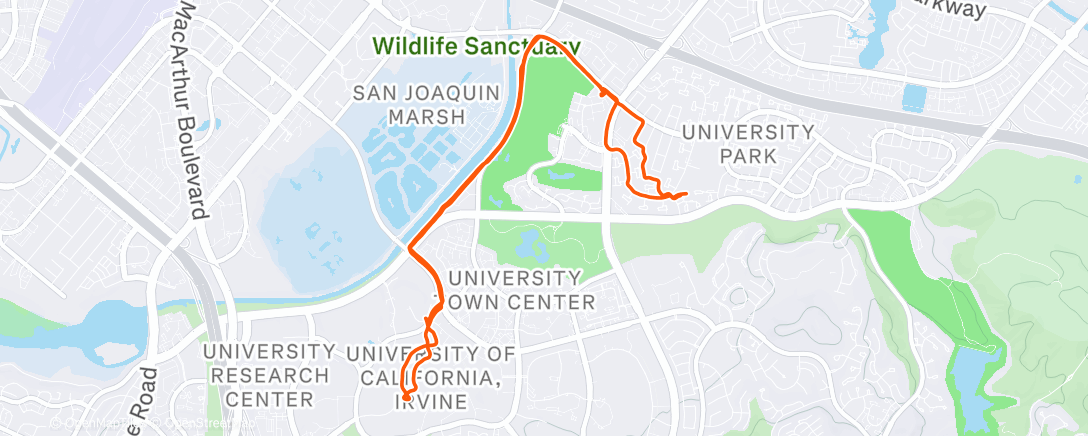 Карта физической активности (Very empty office, actually my whole building, actually the whole campus)