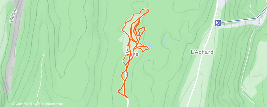 Карта физической активности (☀️ Morning panard ☃️ (#6))