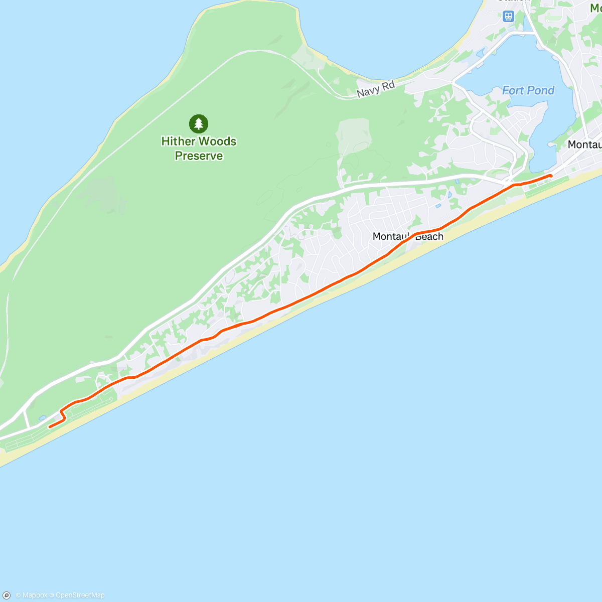 Map of the activity, Morning Easy Run
