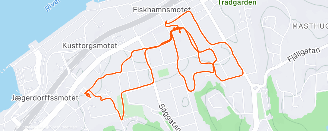Map of the activity, Gothenburg Walking