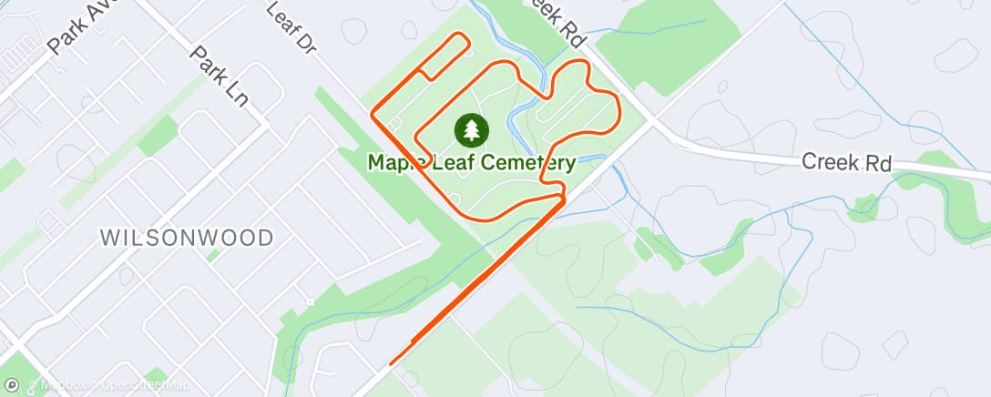 Map of the activity, Morning Run