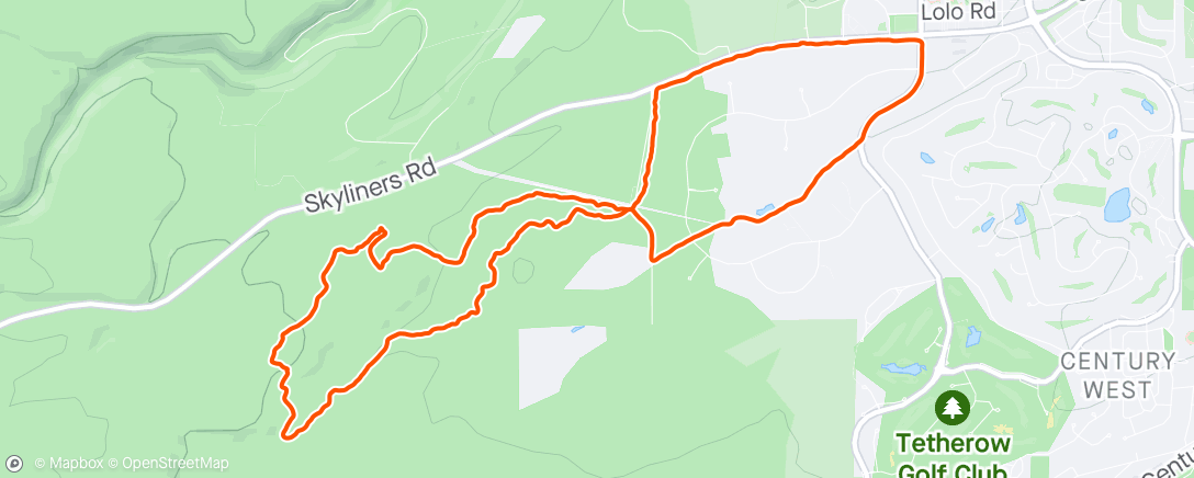 Mapa da atividade, Evening Trail Run