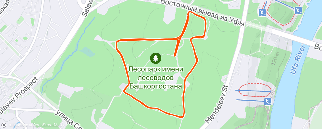 Map of the activity, Утренний забег