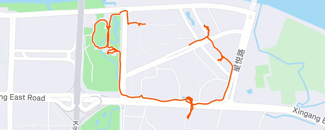 Карта физической активности (Дневная прогулка)