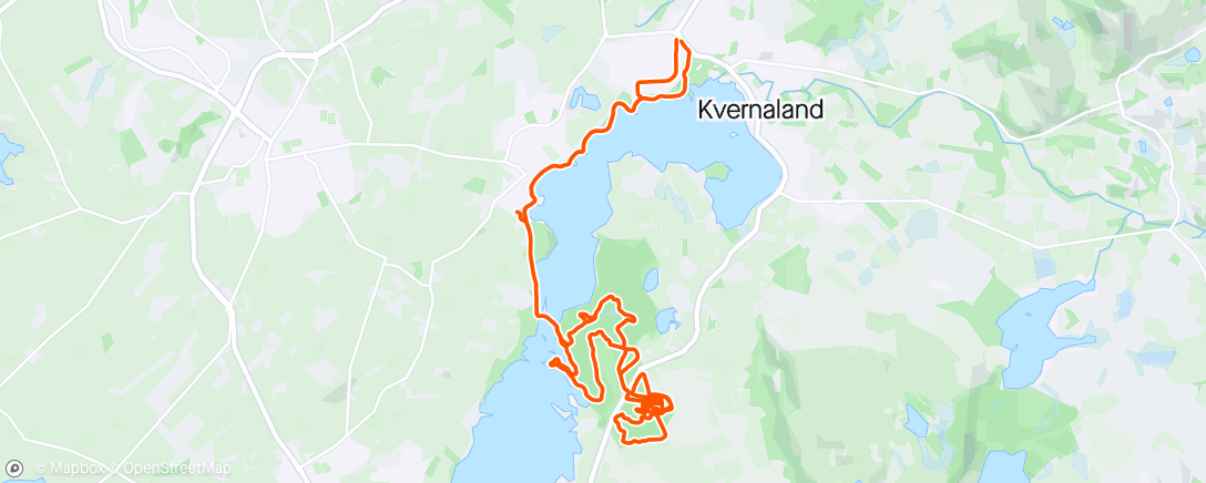 Mapa da atividade, Afternoon Mountain Bike Ride skogen