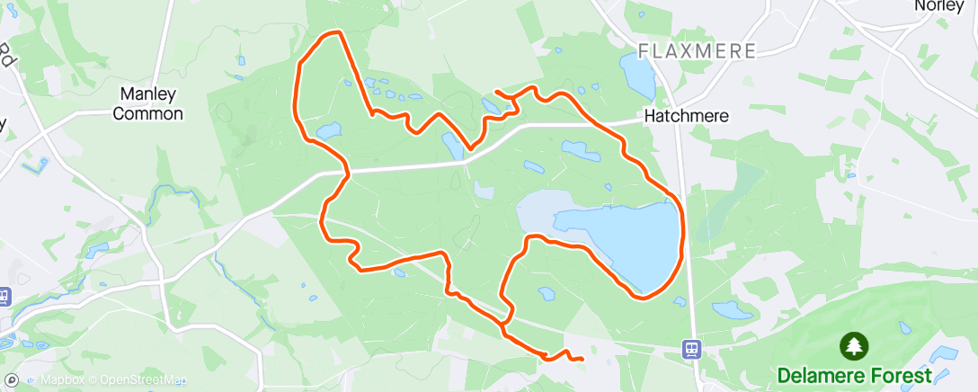 Map of the activity, Delamere Forest reccy, lots of stops🙂